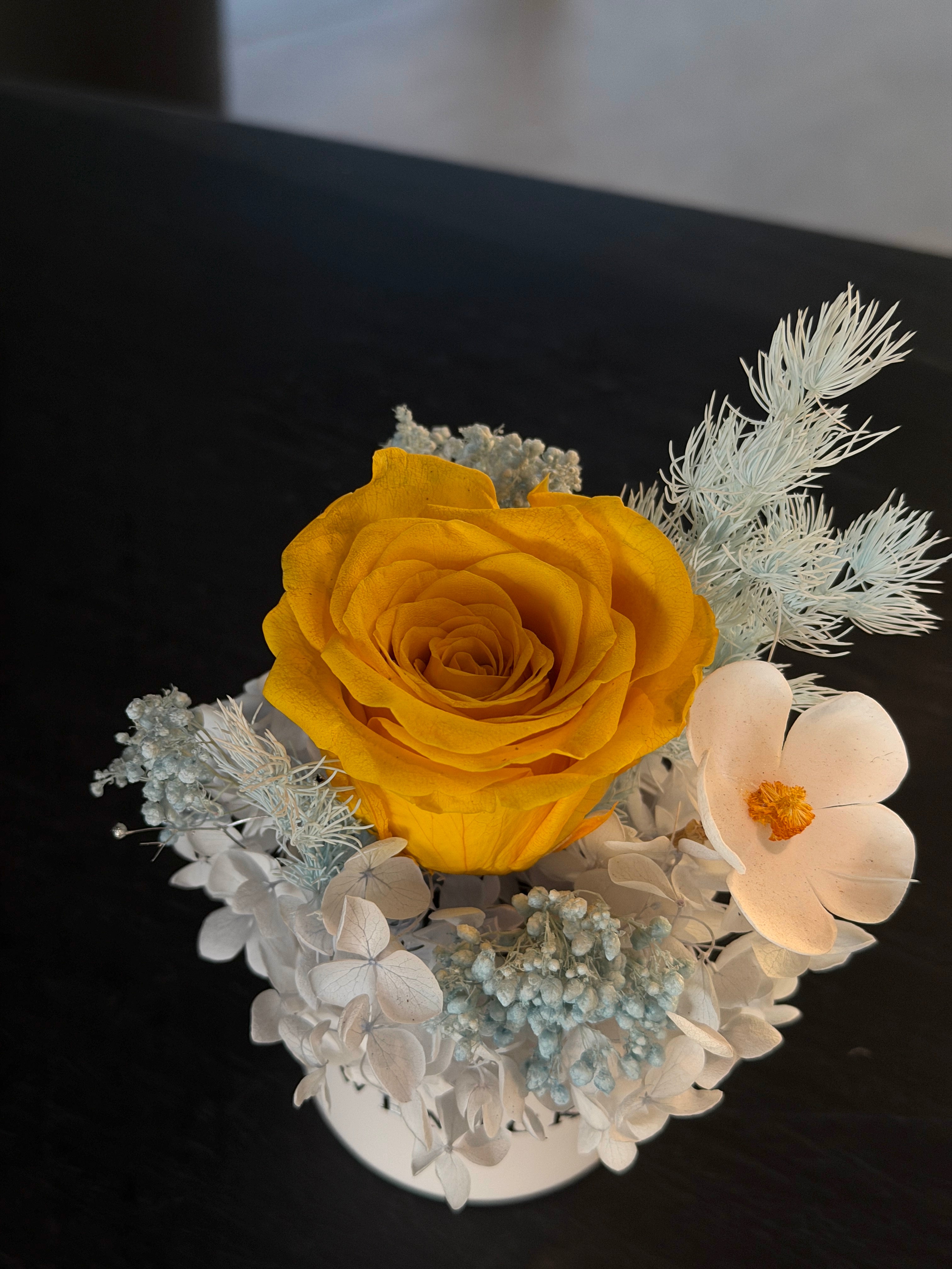 Daisy - Preserved Flower Vase Decor