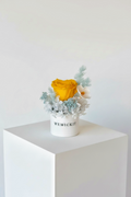 Daisy - Preserved Flower Vase Decor