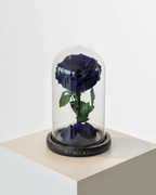 Everlasting Preserved Rose Glass Dome (Dark Blue)