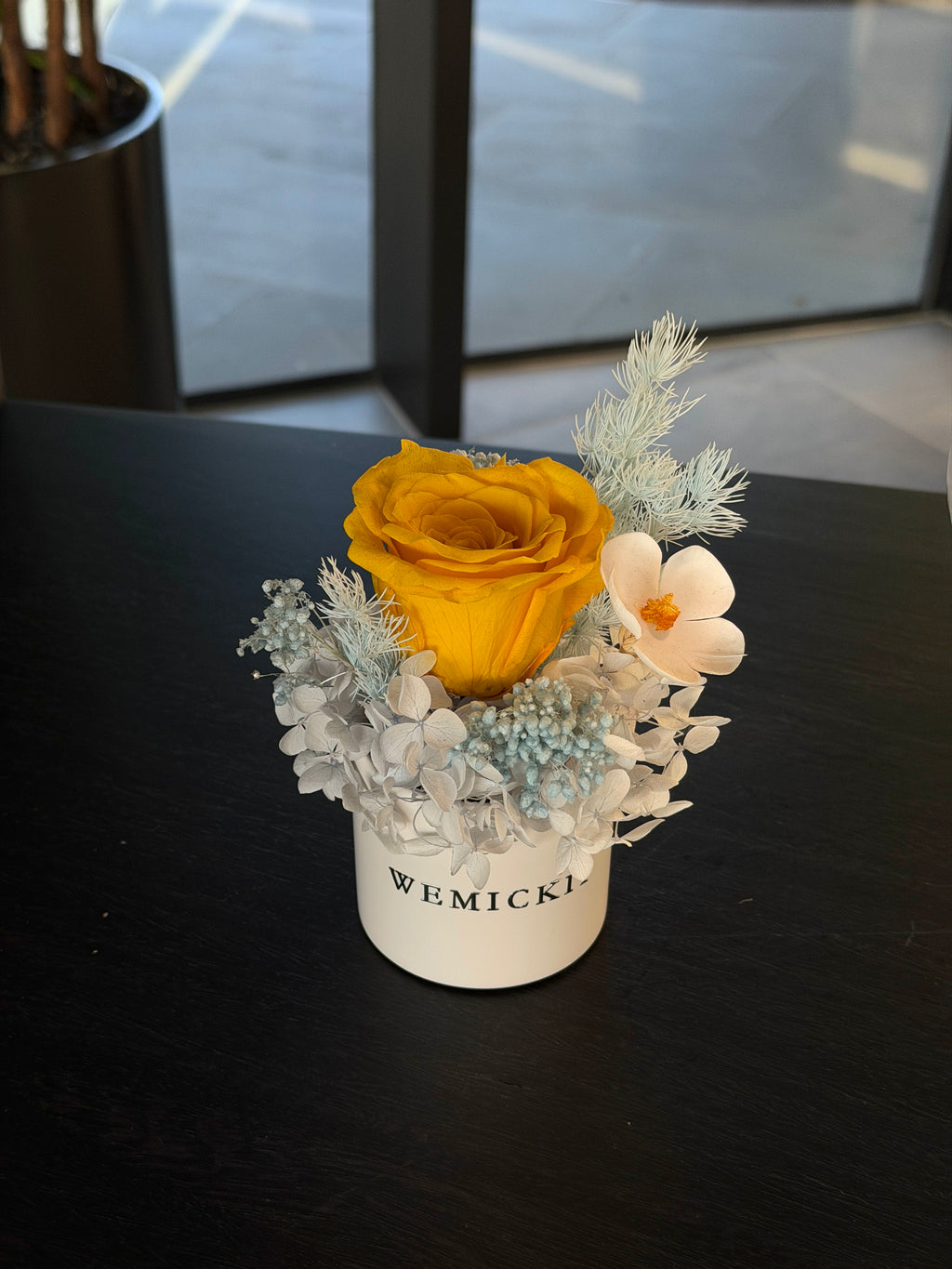 Daisy - Preserved Flower Vase Decor