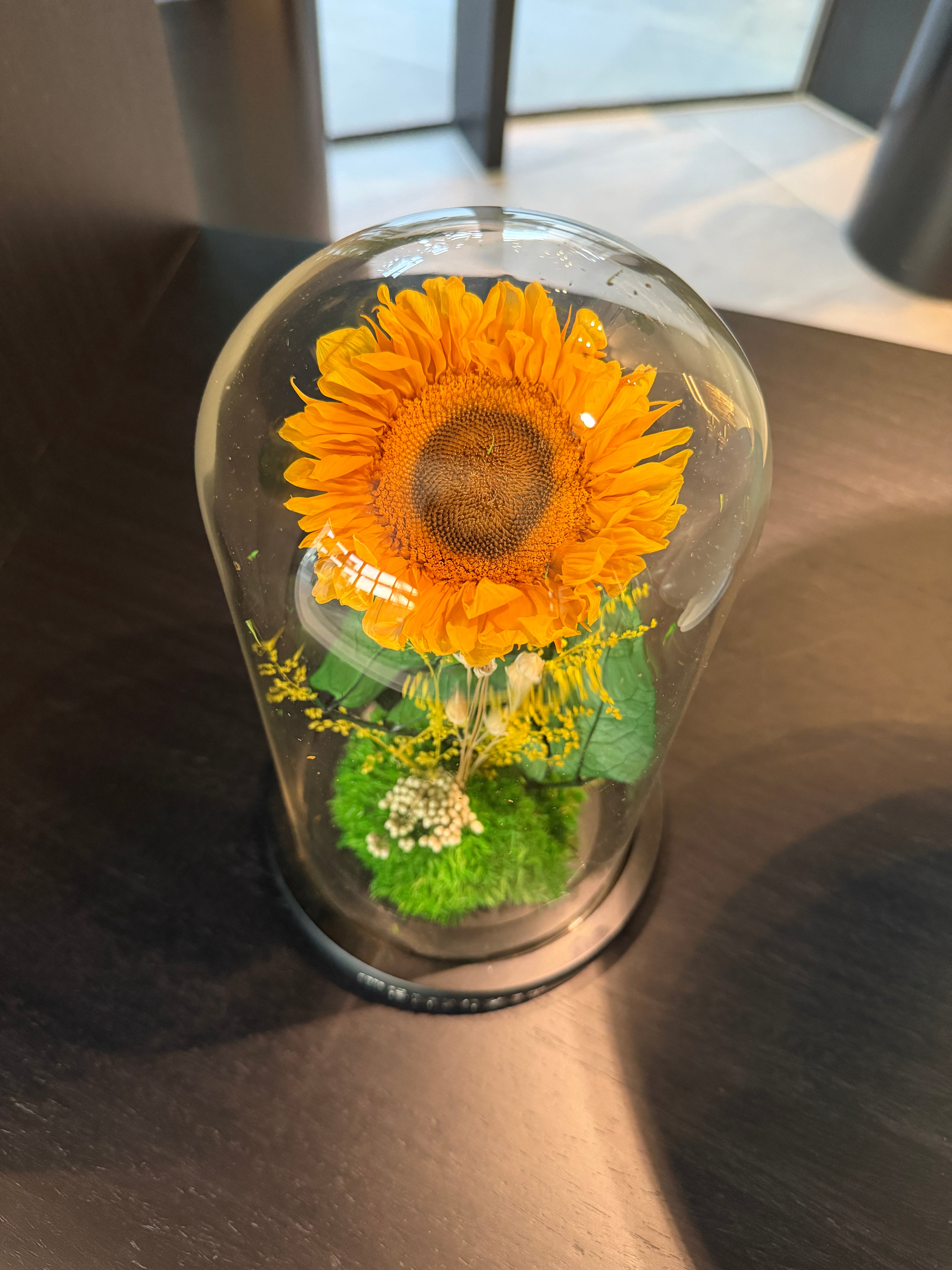 Sunflower Dome