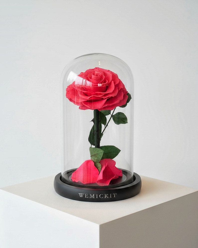 Everlasting Preserved Rose Glass Dome (Hot Pink)