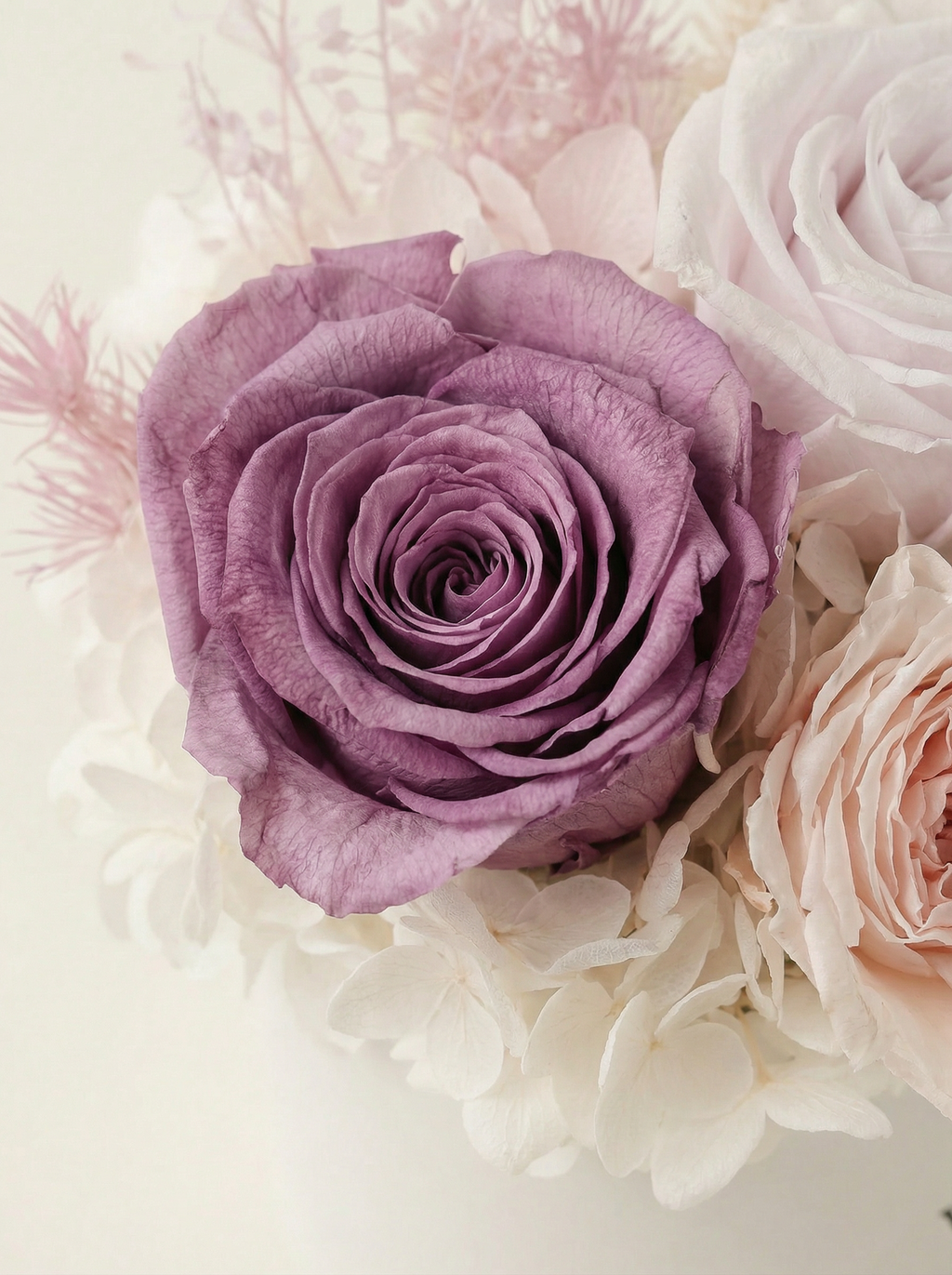 Candy petal - Preserved Flower Vase Decor