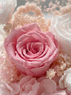 Beloved - Everlasting Preserved Flower in Vase – Pink | Anniversary Gift