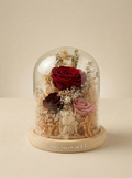 Queen - Everlasting Preserved Flower Glass Dome